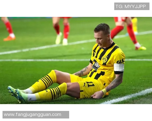 足球明星罗伊斯精彩瞬间图片合集展现他的足球魅力与风采