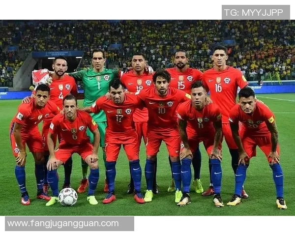 南美足球明星队员全解析及其在国际赛场上的辉煌表现 南美足球明星队员全解析及其在国际赛场上的辉煌表现