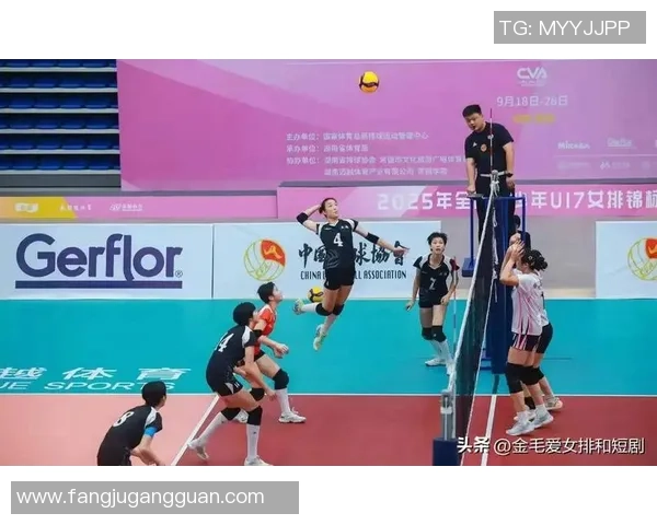 重庆排球队实力强劲荣登排球速度排行榜第四名引发关注